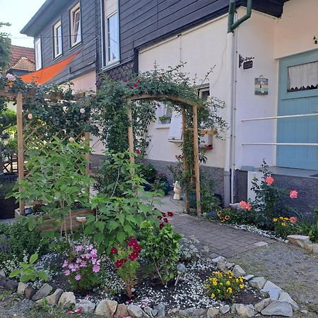 Sonniges Apartment Altenbrak Eksteriør billede