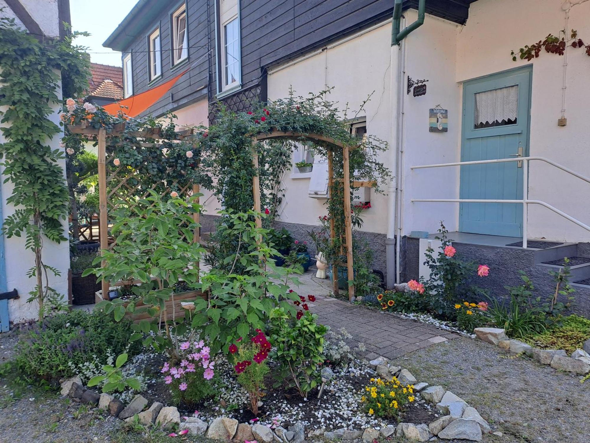Sonniges Apartment Altenbrak Eksteriør billede
